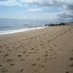 Plum Island Beach Homes