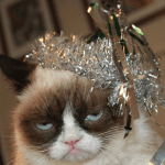 Screen shot 2014-11-26 at 12.59.04 PM