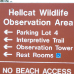 Screen Shot 2016-07-28 at 6.43.10 PM