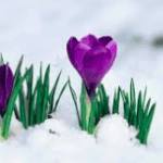 Screen Shot 2017-02-28 at 7.35.17 PM